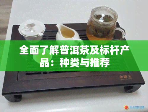 全面了解普洱茶及标杆产品：种类与推荐