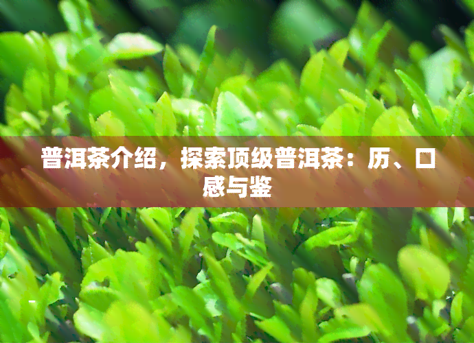 普洱茶介绍，探索顶级普洱茶：历、口感与鉴