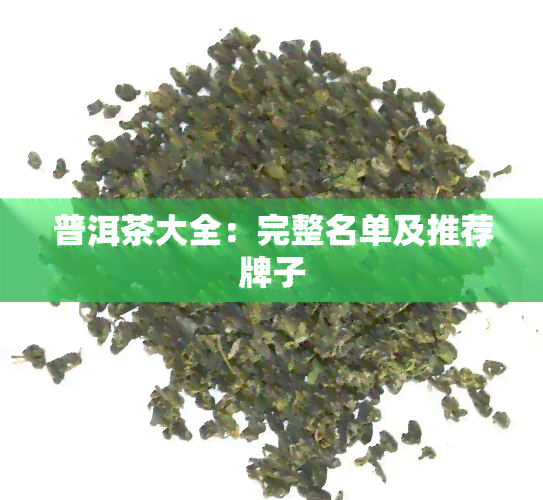 普洱茶大全：完整名单及推荐牌子