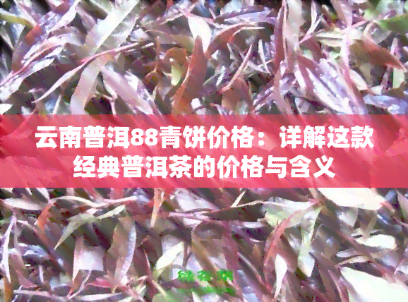 云南普洱88青饼价格：详解这款经典普洱茶的价格与含义