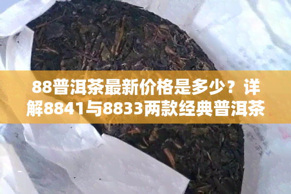 88普洱茶最新价格是多少？详解8841与8833两款经典普洱茶