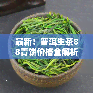 最新！普洱生茶88青饼价格全解析