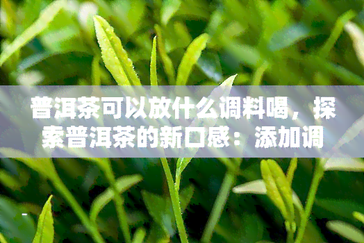 普洱茶可以放什么调料喝，探索普洱茶的新口感：添加调料的技巧与建议