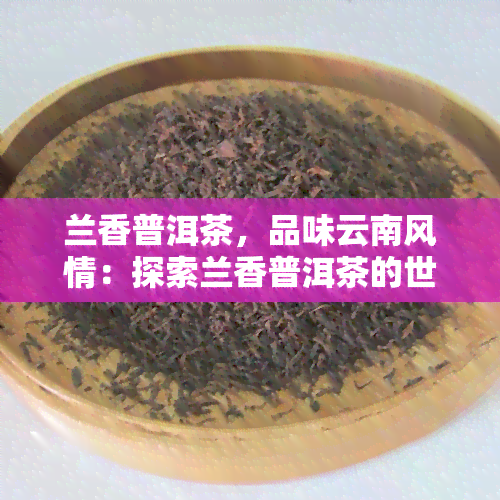 兰香普洱茶，品味云南风情：探索兰香普洱茶的世界