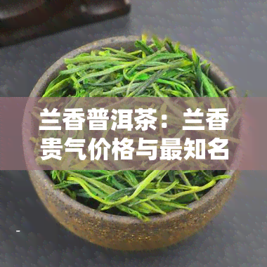 兰香普洱茶：兰香贵气价格与最知名品种介绍