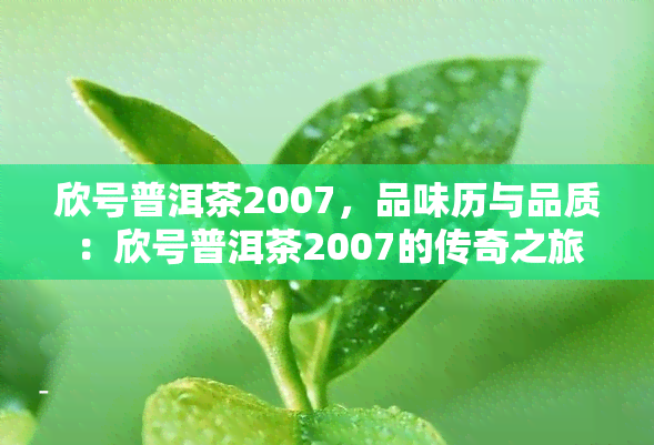 欣号普洱茶2007，品味历与品质：欣号普洱茶2007的传奇之旅