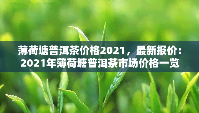 薄荷塘普洱茶价格2021，最新报价：2021年薄荷塘普洱茶市场价格一览