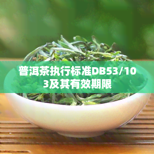 普洱茶执行标准DB53/103及其有效期限