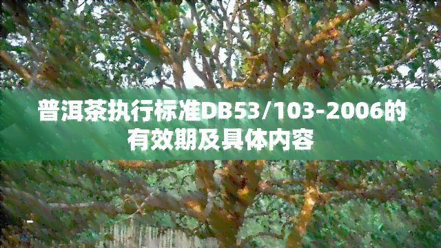 普洱茶执行标准DB53/103-2006的有效期及具体内容