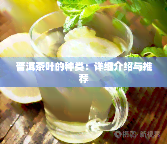 普洱茶叶的种类：详细介绍与推荐