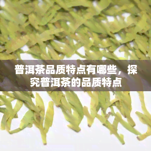 普洱茶品质特点有哪些，探究普洱茶的品质特点