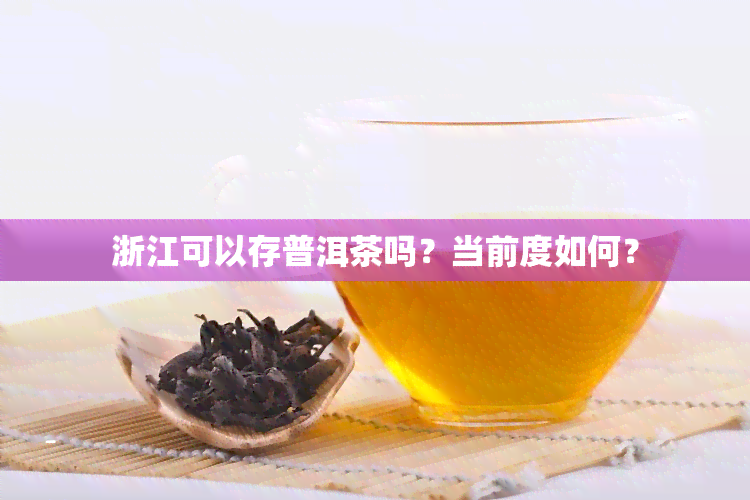 浙江可以存普洱茶吗？当前度如何？