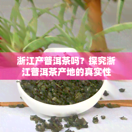 浙江产普洱茶吗？探究浙江普洱茶产地的真实性