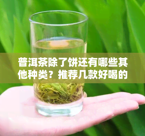 普洱茶除了饼还有哪些其他种类？推荐几款好喝的普洱茶