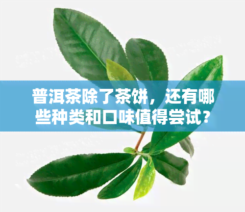 普洱茶除了茶饼，还有哪些种类和口味值得尝试？