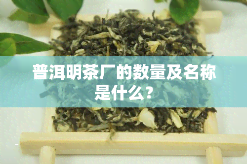 普洱明茶厂的数量及名称是什么？