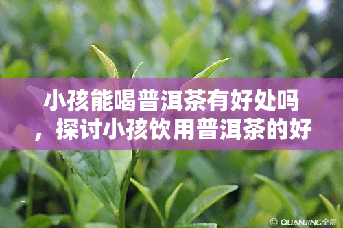 小孩能喝普洱茶有好处吗，探讨小孩饮用普洱茶的好处与注意事