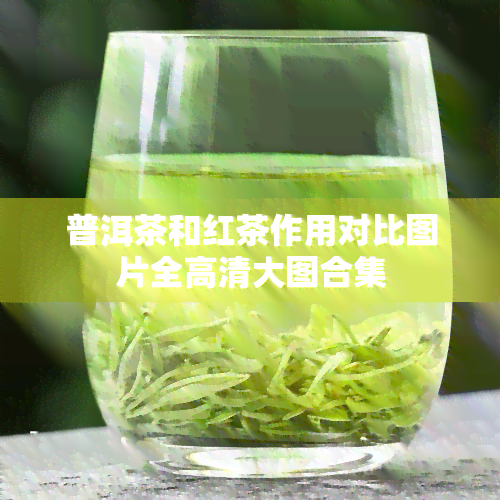 普洱茶和红茶作用对比图片全高清大图合集