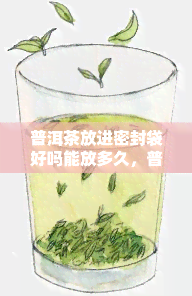 普洱茶放进密封袋好吗能放多久，普洱茶密封保存：多久合适？