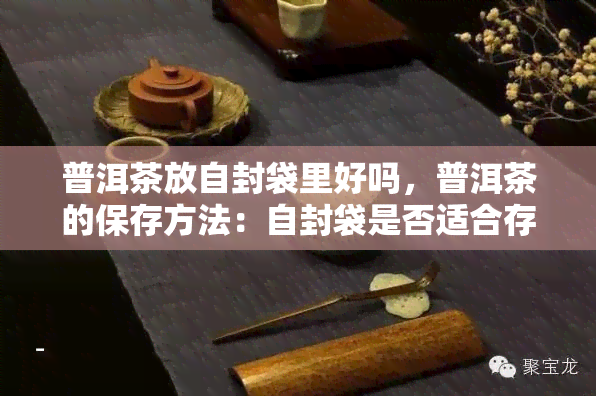 普洱茶放自封袋里好吗，普洱茶的保存方法：自封袋是否适合存放？