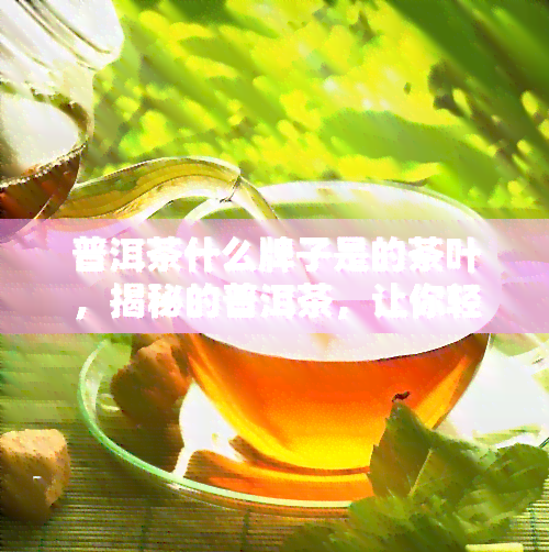 普洱茶什么牌子是的茶叶，揭秘的普洱茶，让你轻松挑选优质茶叶