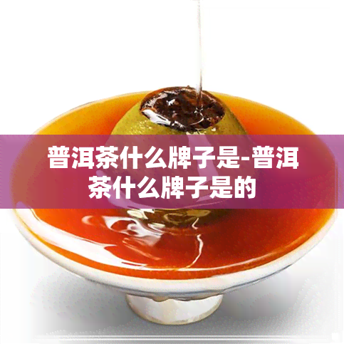 普洱茶什么牌子是-普洱茶什么牌子是的