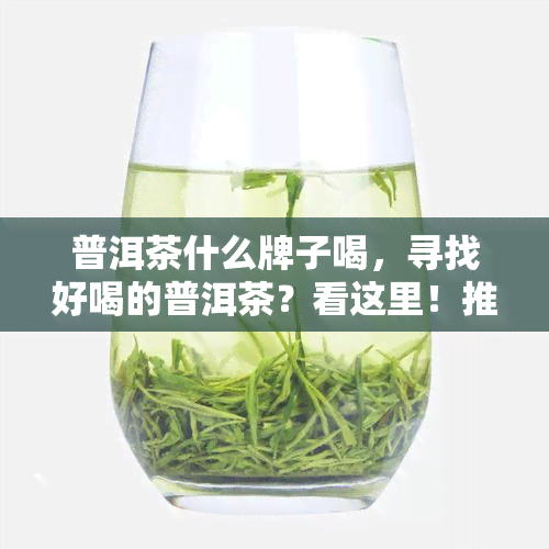 普洱茶什么牌子喝，寻找好喝的普洱茶？看这里！推荐与评测