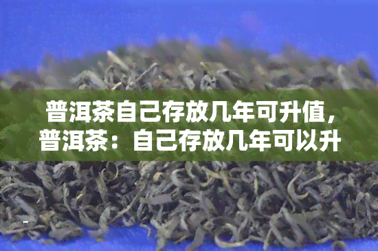 普洱茶自己存放几年可升值，普洱茶：自己存放几年可以升值？