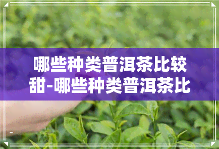 哪些种类普洱茶比较甜-哪些种类普洱茶比较甜一点