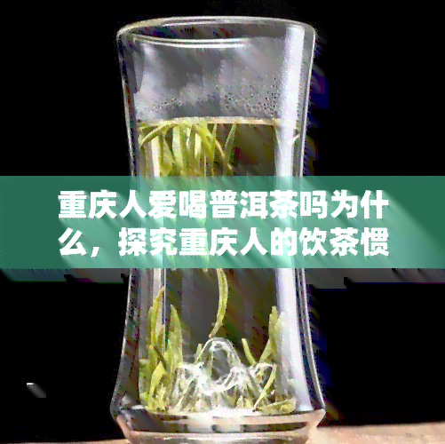 重庆人爱喝普洱茶吗为什么，探究重庆人的饮茶惯：他们为何热爱普洱茶？