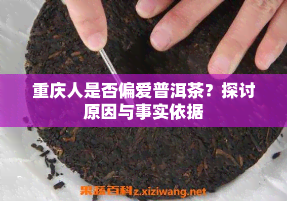 重庆人是否偏爱普洱茶？探讨原因与事实依据