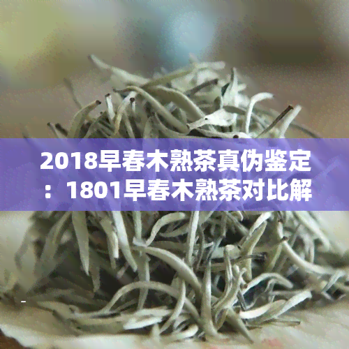 2018早春木熟茶真伪鉴定：1801早春木熟茶对比解析