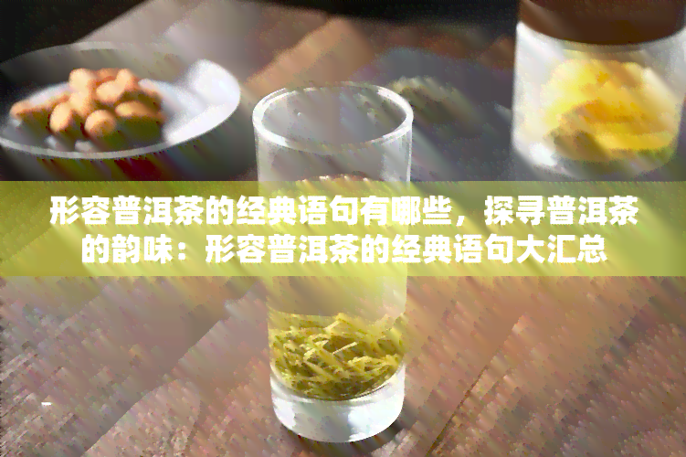 形容普洱茶的经典语句有哪些，探寻普洱茶的韵味：形容普洱茶的经典语句大汇总