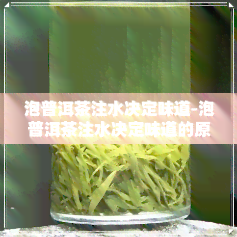 泡普洱茶注水决定味道-泡普洱茶注水决定味道的原因