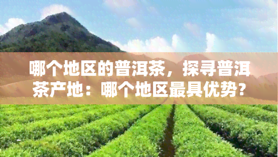 哪个地区的普洱茶，探寻普洱茶产地：哪个地区更具优势？