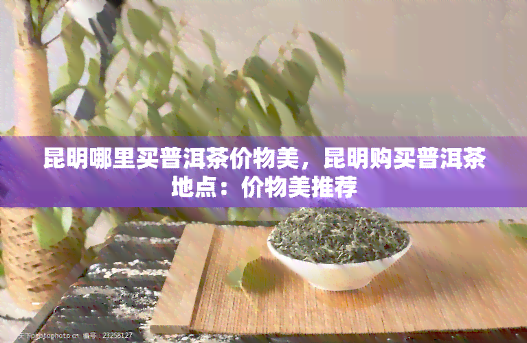 昆明哪里买普洱茶价物美，昆明购买普洱茶地点：价物美推荐