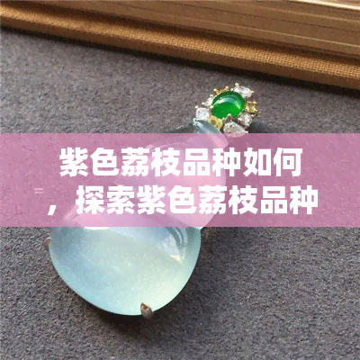 紫色荔枝品种如何，探索紫色荔枝品种：口感、营养价值及种植技巧