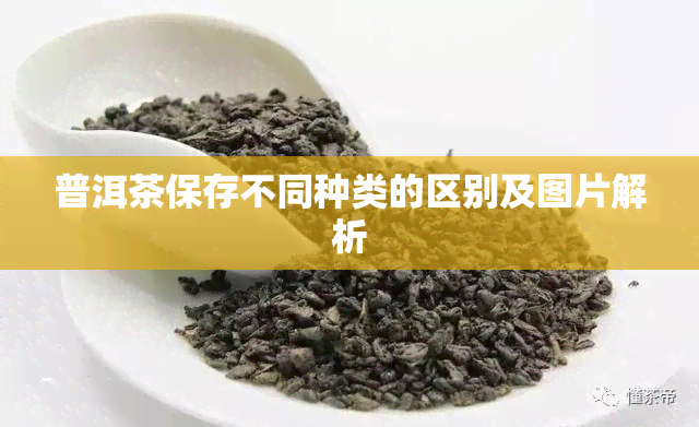 普洱茶保存不同种类的区别及图片解析