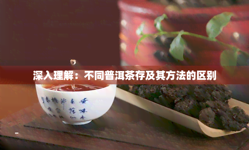 深入理解：不同普洱茶存及其方法的区别