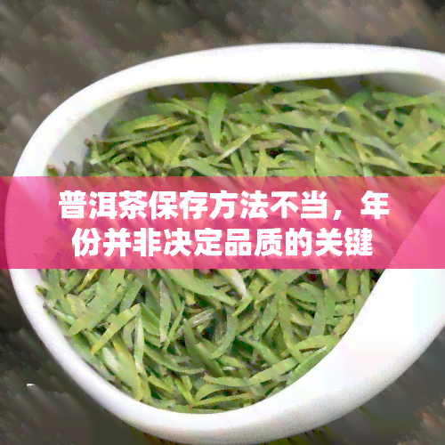 普洱茶保存方法不当，年份并非决定品质的关键