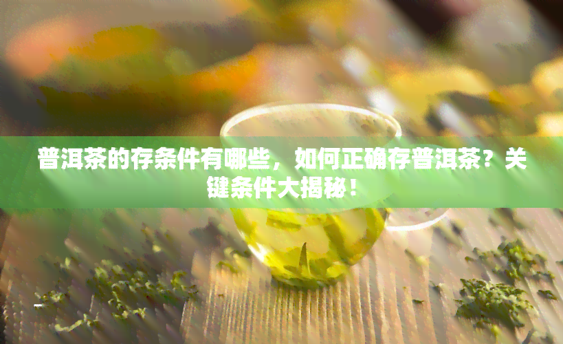 普洱茶的存条件有哪些，如何正确存普洱茶？关键条件大揭秘！