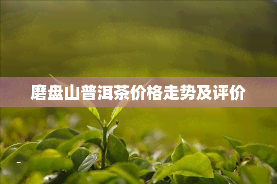 磨盘山普洱茶价格走势及评价