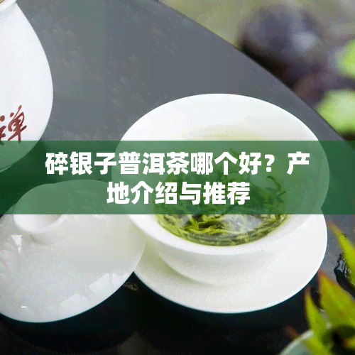 碎银子普洱茶哪个好？产地介绍与推荐