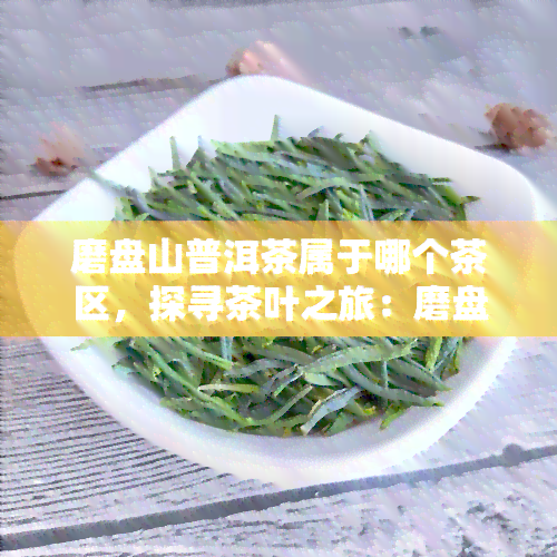 磨盘山普洱茶属于哪个茶区，探寻茶叶之旅：磨盘山普洱茶的产地和归属茶区