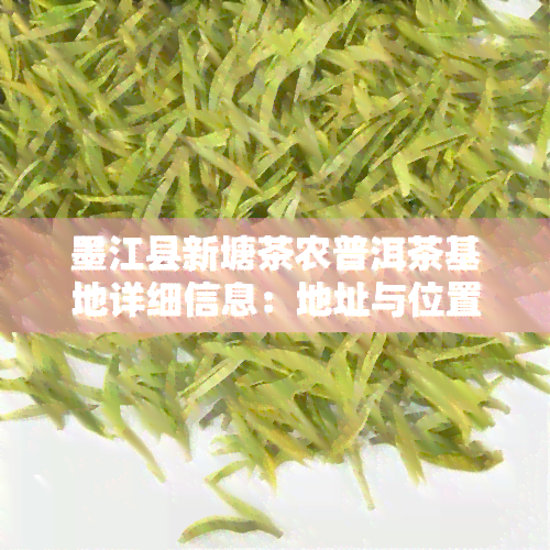 墨江县新塘茶农普洱茶基地详细信息：地址与位置