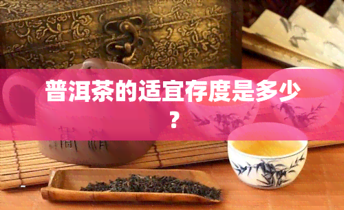 普洱茶的适宜存度是多少？