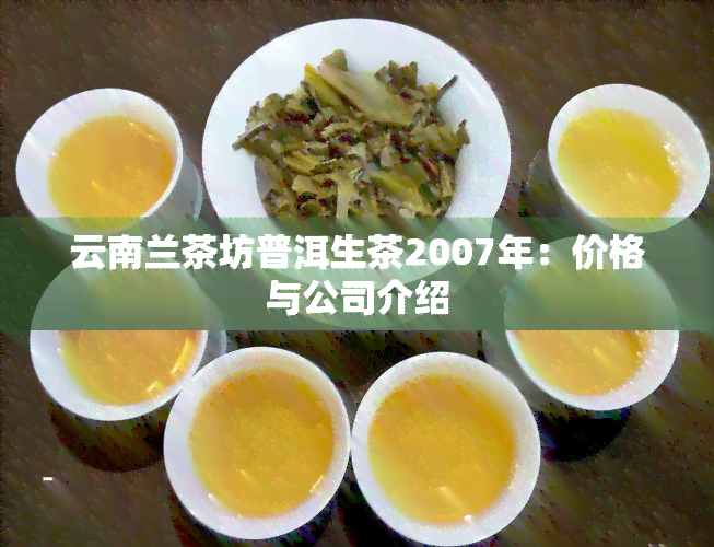 云南兰茶坊普洱生茶2007年：价格与公司介绍