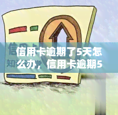 信用卡逾期了5天怎么办，信用卡逾期5天，如何应对和解决？