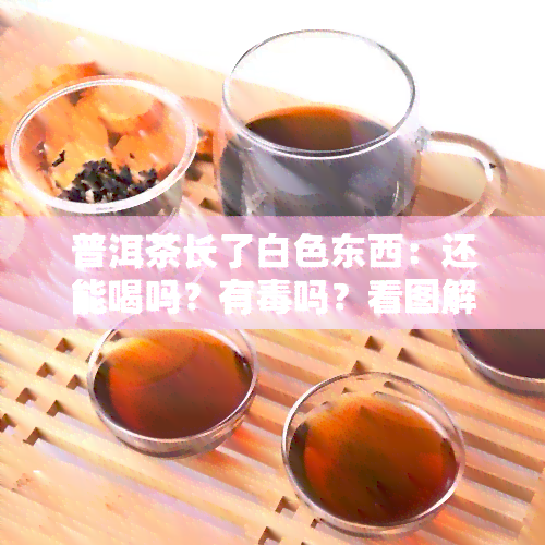 普洱茶长了白色东西：还能喝吗？有吗？看图解析