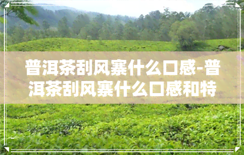 普洱茶刮风寨什么口感-普洱茶刮风寨什么口感和特点